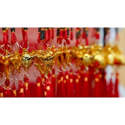 窮鬼月入十萬- 財富密碼轉運配件